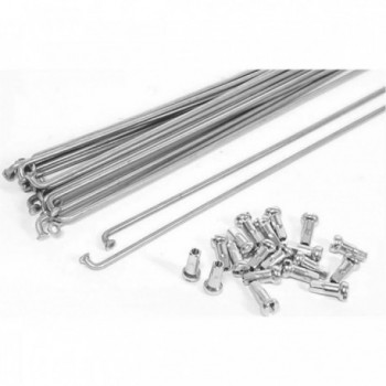 Raggi in Acciaio Inox 269x2 mm con Nippli Alpina Argento per Ruote Resistenti - 1 - Raggi - 