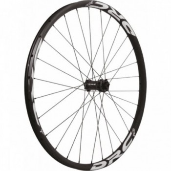 29' Front Wheel Tubeless Ready for Enduro MTB, 6-Bolt Disc, 28 Spokes - 1