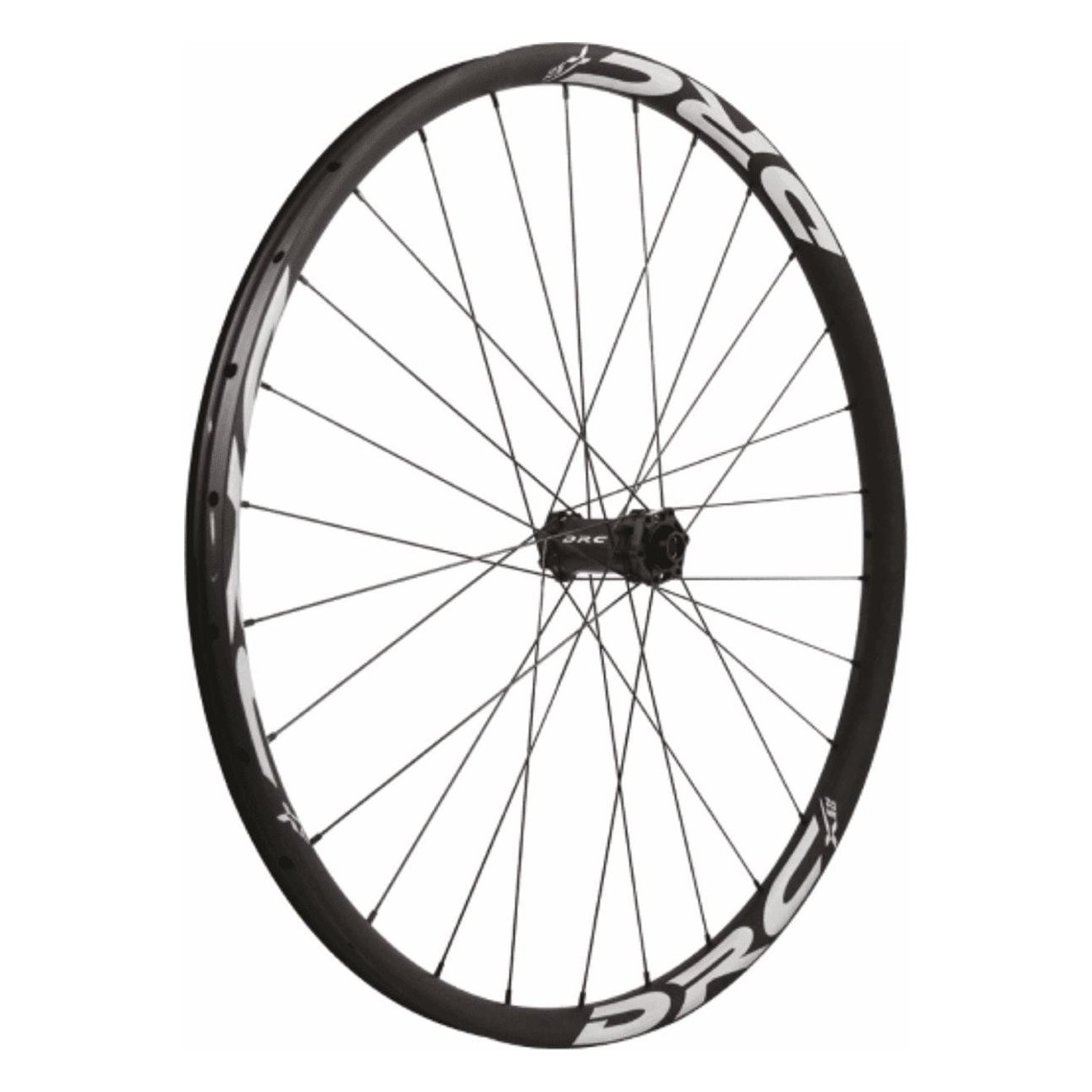 29' Front Wheel Tubeless Ready for Enduro MTB, 6-Bolt Disc, 28 Spokes - 1