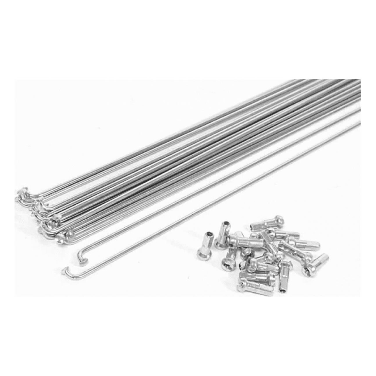 8055320659881 - Fahrrad Speichen 260mm verzinkt Silber 2mm mit Nippel 10er Set