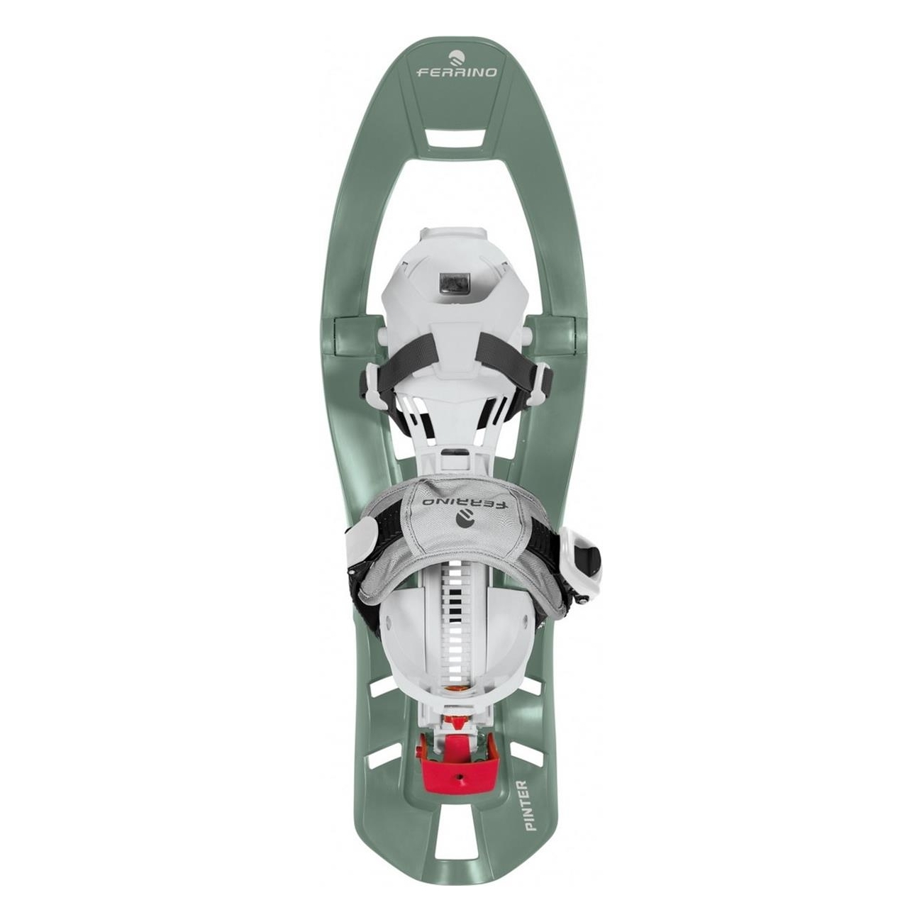 8014044003158 - Pinter Special Schneeschuhe Grün Trekking Größe 34-48 175kg