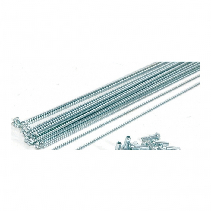 Raggi Bici 262mm Zincati...