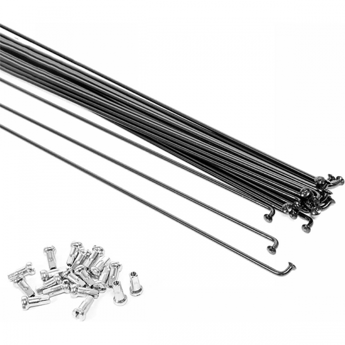 Raggi Bici Neri 286mm in...