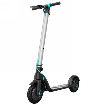 Anlen SL Silber / Schwarz E-Scooter inkl. EU und UK Stromkabel - 1