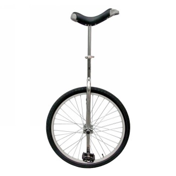 Monocycle 24', complet, argent - 1