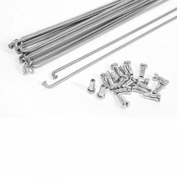 Raggi 255 x 2.5mm con nippli zincati 10pz - 1 - Raggi - 