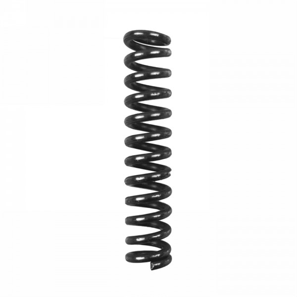 Front spring r - 1