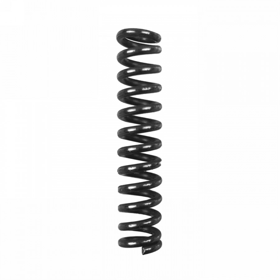 Front spring r - 1