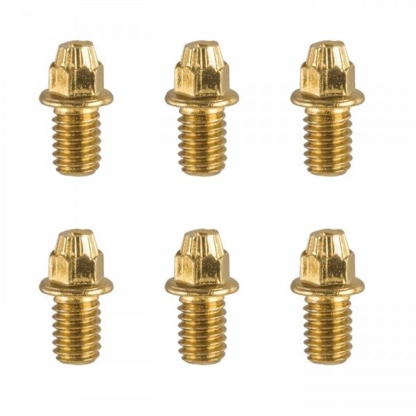 Kit replacement pin for black magic gold pedal - 32 pieces + 2 caps - 1