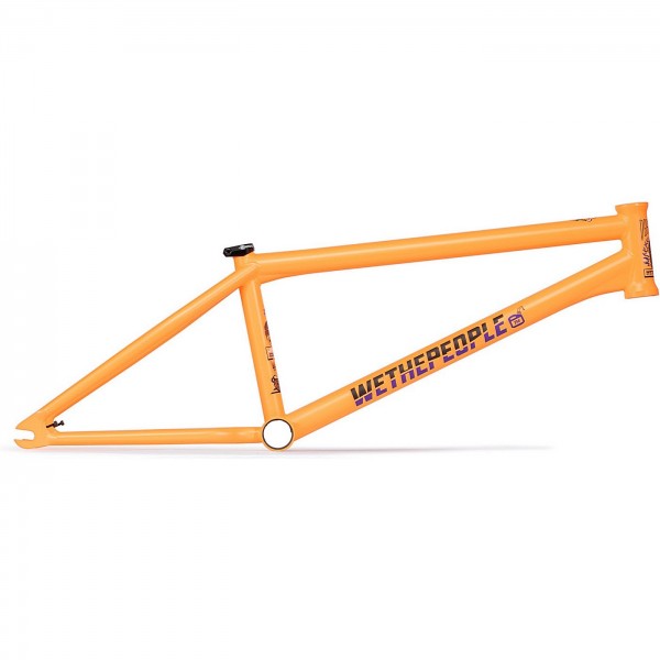 Wethepeople Doomsayer Frame - 1