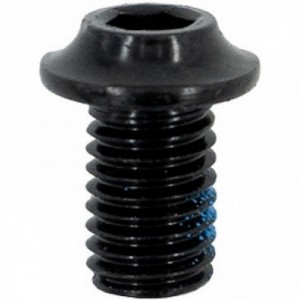 Salt crank arm screws standard black, 1 piece - 1