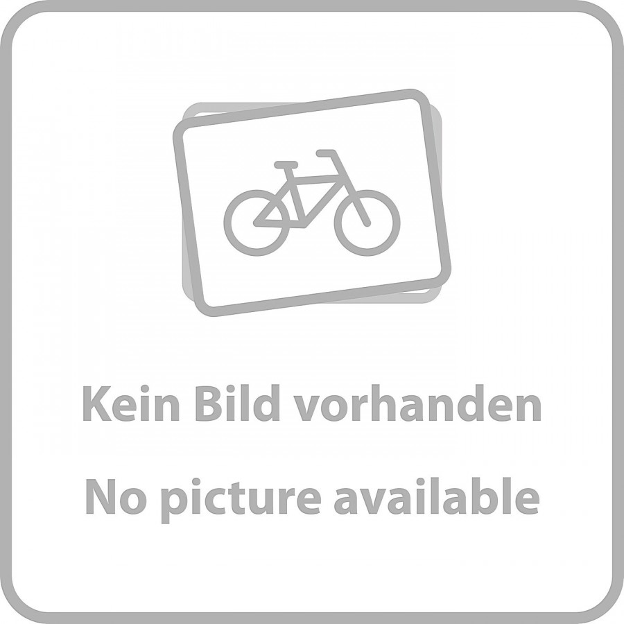 Gabel-Staubabstreifer-Set – 32 mm, Schwarz (inkl. Staubabstreifer mit Flansch) (20 Stück) – Revel - 1