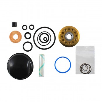 Kit revisione tenute olio - coil il g2 trunnion - 1