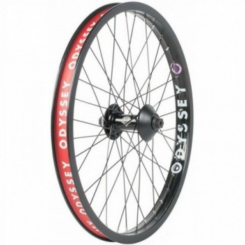 Wheelset quadrant/c5 36 h front black - 1