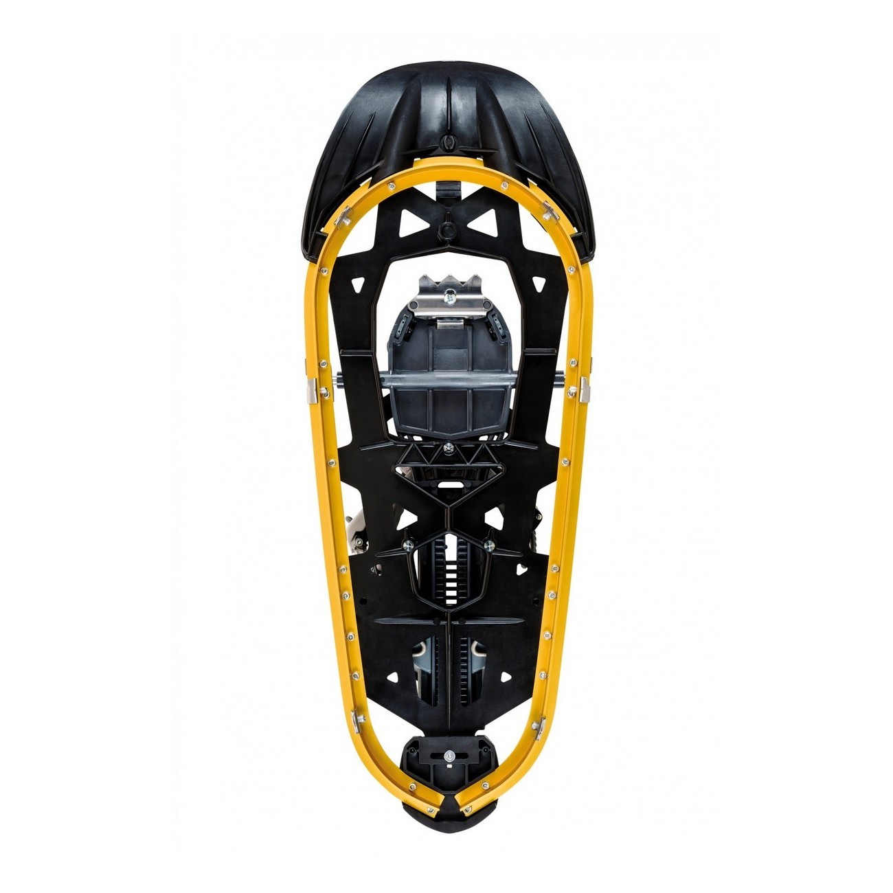 racchetta trek special oro taglia 34-48 - 2 - Racchette - 8014044962028