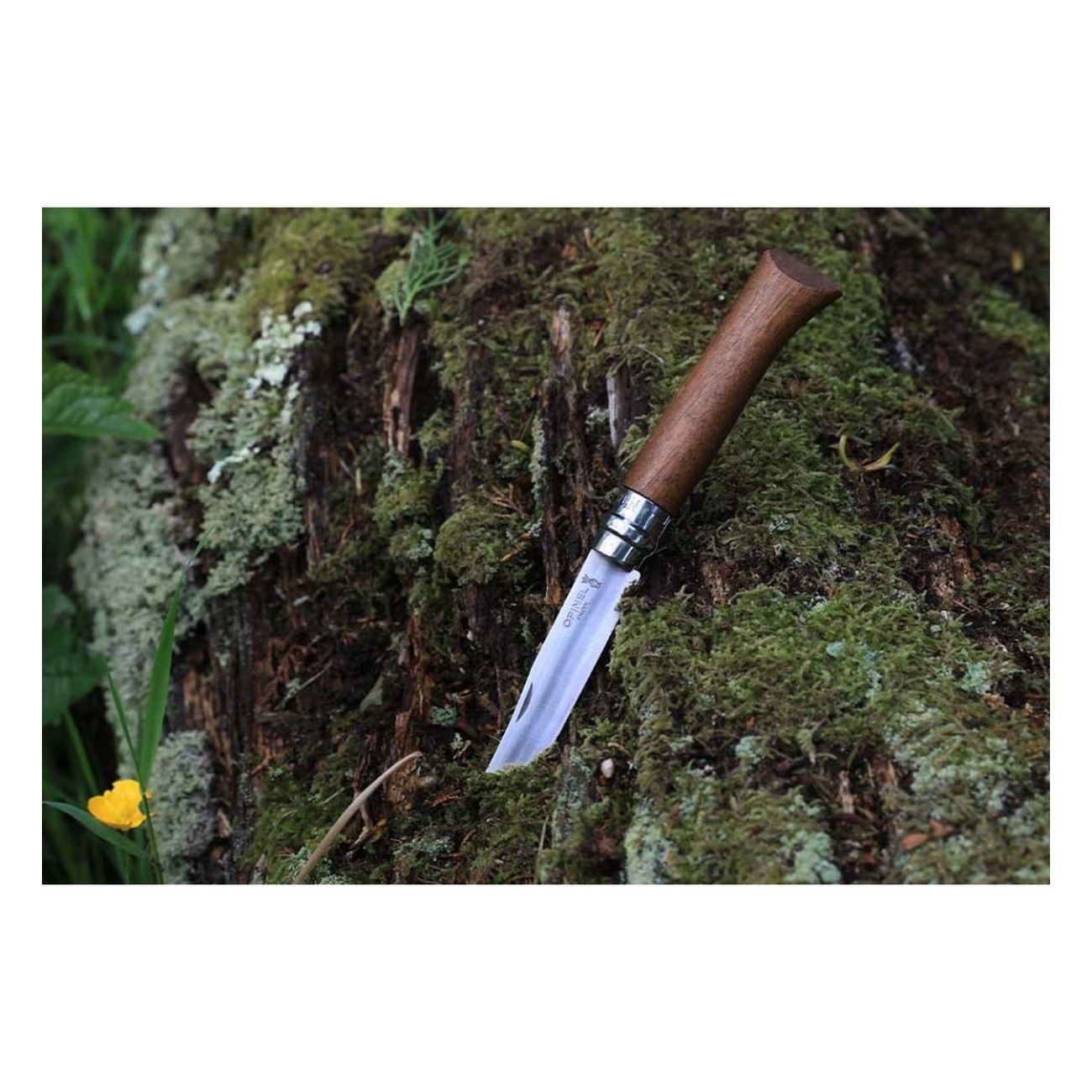 Opinel N.08 Inox Nuss - Elegant und Funktional mit Nussbaumgriff - 4