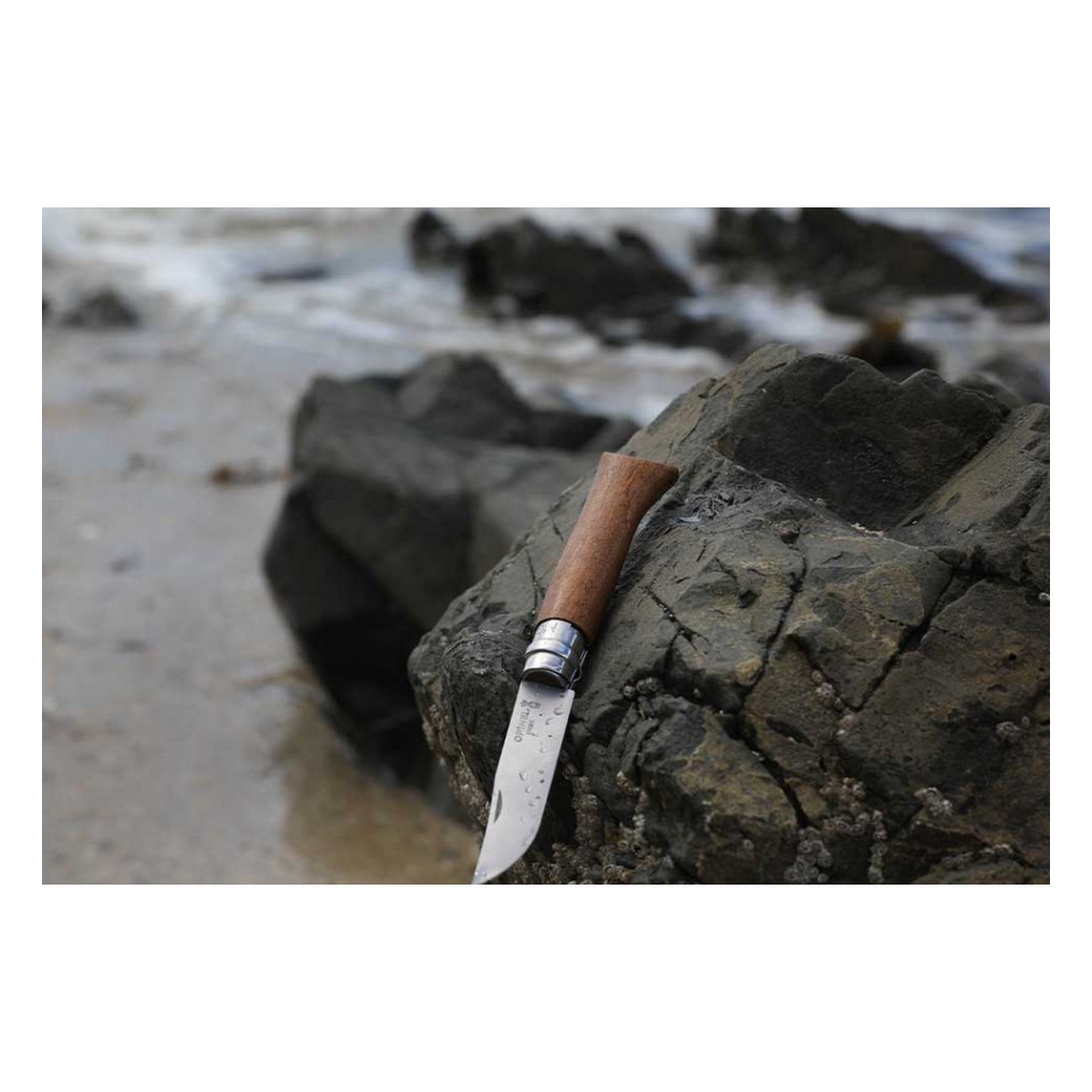 Opinel N.08 Inox Nuss - Elegant und Funktional mit Nussbaumgriff - 5