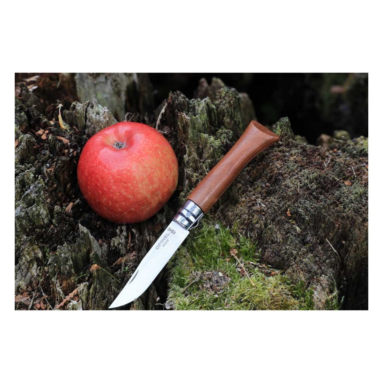 Opinel N.08 Inox Nuss - Elegant und Funktional mit Nussbaumgriff - 7