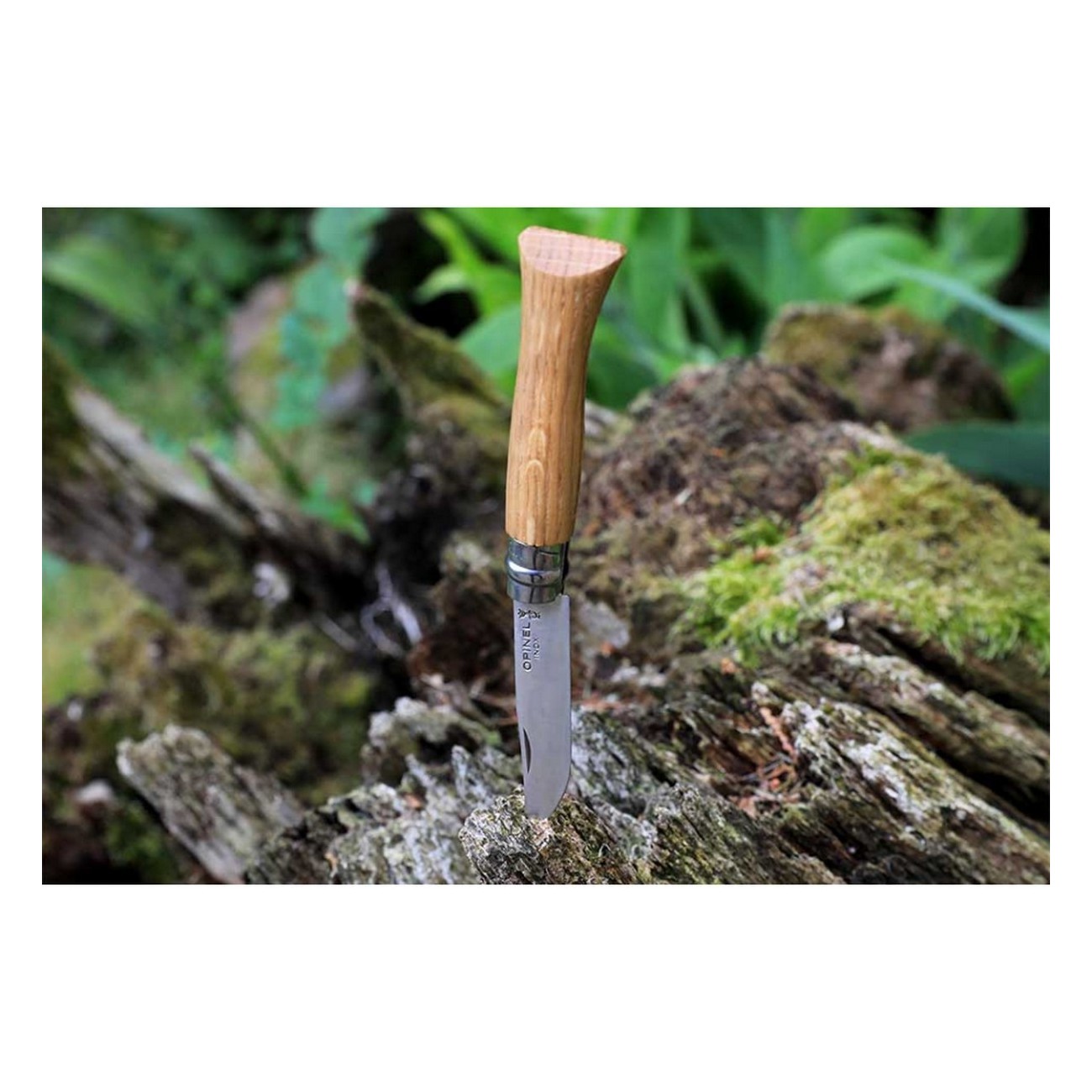 Couteau Opinel N.08 Inox avec Manche en Chêne - Lame 8,5 cm, Anneau Virobloc - 6