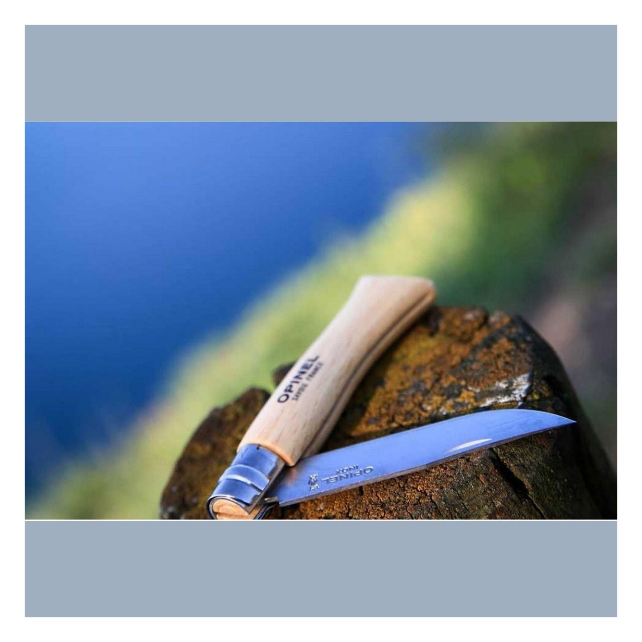 Coltello Opinel Viroblock N.10 Inox - Set da 6 Pezzi con Lama da 10 cm e Manico in Faggio - 6 - Coltelli - 3123841231000