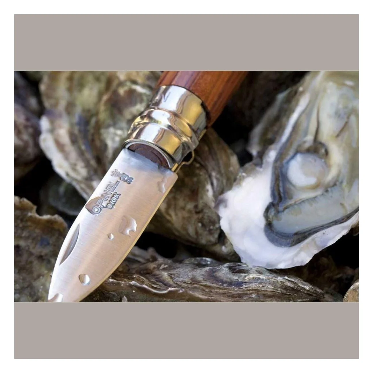 Opinel N. 9 Oyster Knife with Stainless Steel Blade and Padouk Handle - 6