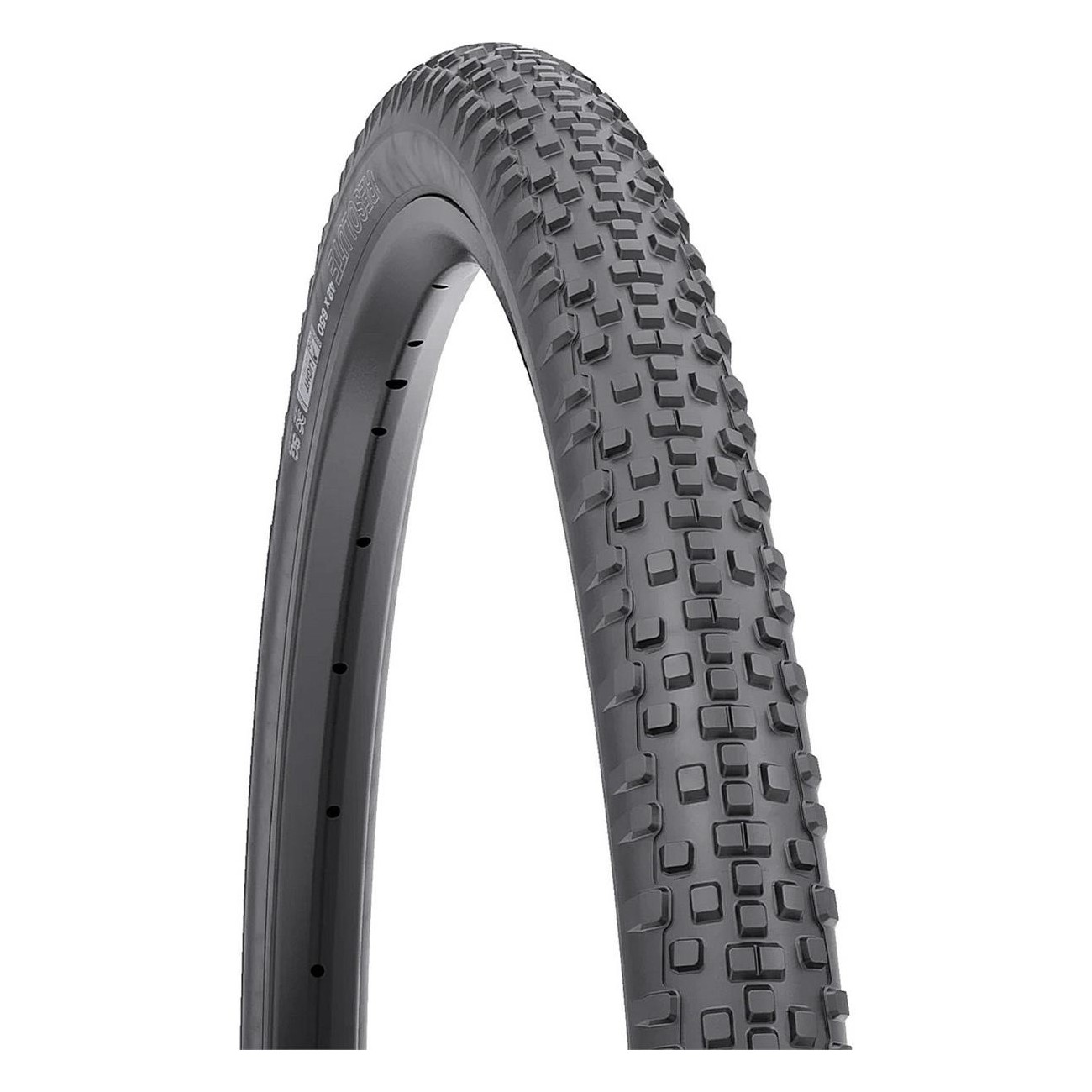 Neumático Gravel WTB Resolute 700x42 - Dual DNA, 120 TPI, Protección SG2, Tubeless - 1