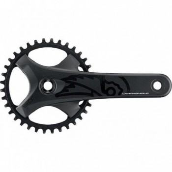 Ekar GT Pro-Tech Crankset 1x13v 38D 172.5mm Black for Gravel - 1