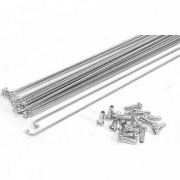 Galvanized Steel Spokes Silver 262x2mm with Nipples - Pack of 72 Pieces - 1