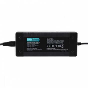 Cargador 48V para Baterías de Litio con Adaptadores DC/XLR y DC/RCA - 1