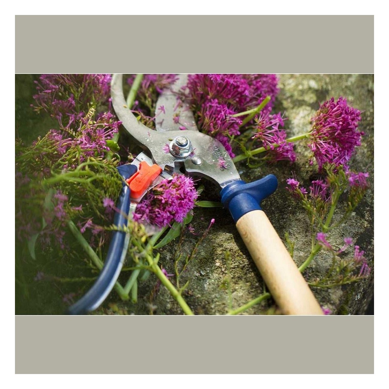 Opinel Heckenschneider aus Edelstahl Schiefer mit verstellbarem Buchenholzgriff - 6