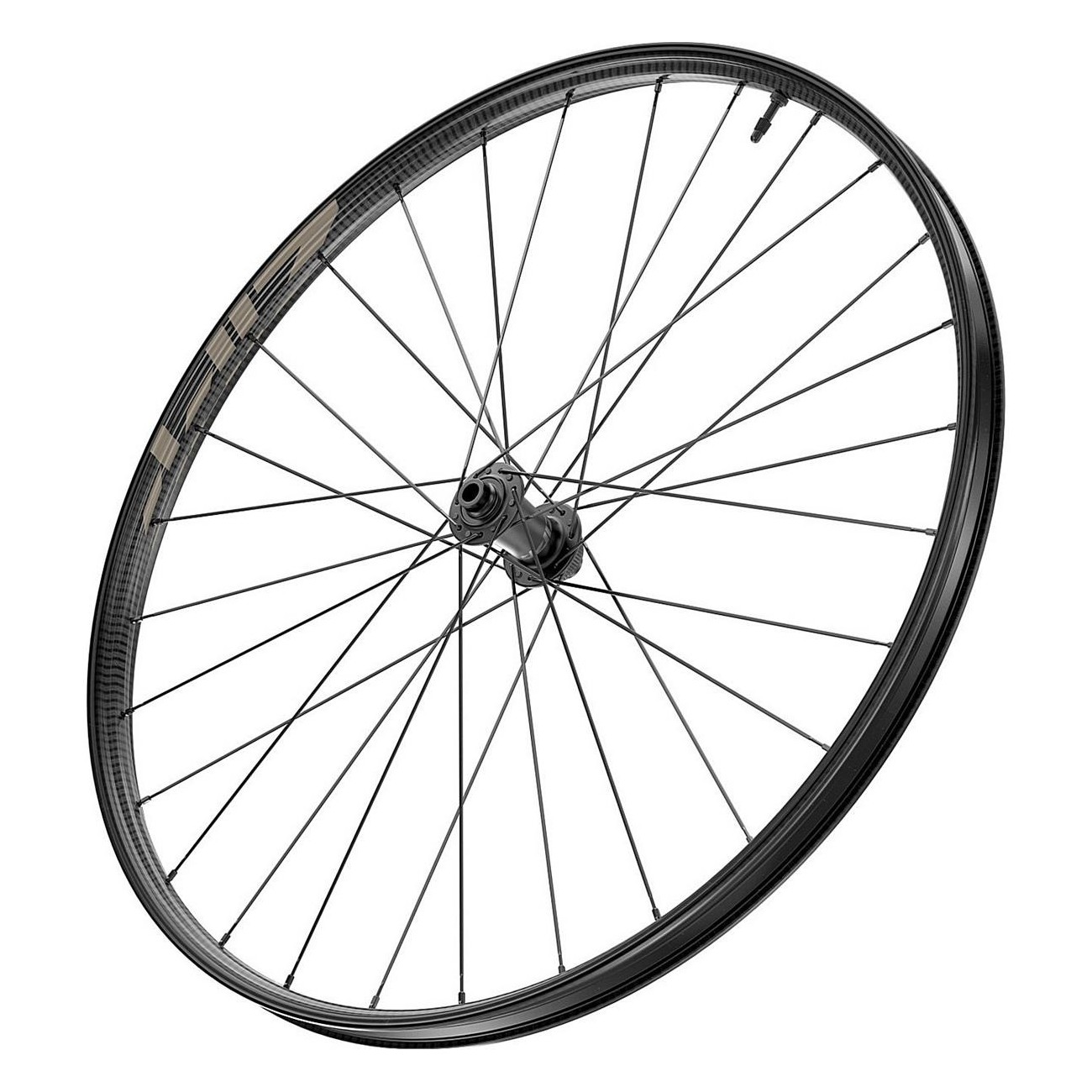 Zipp 101 XPLR Disc 650b Kwiqsand Tubeless Front Wheel for Gravel - 3