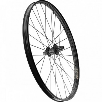 Zipp 101 XPLR Tubeless Hinterrad mit SRAM XDR Nabe - Farbe Kwiqsand - 2