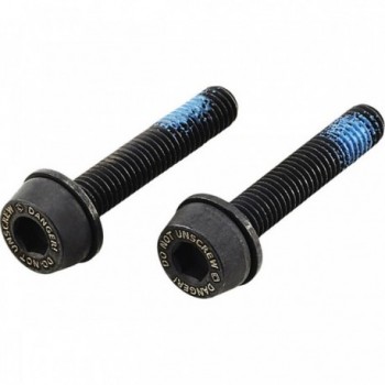 Pair of 29mm Screws for Flat Mount Rear Brake on 20-24mm Frames - Campagnolo Compatible - 1