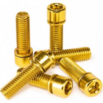 Set of 6 Gold Salt Solid Screws M8x25mm - High Quality and Elegant Design - 1