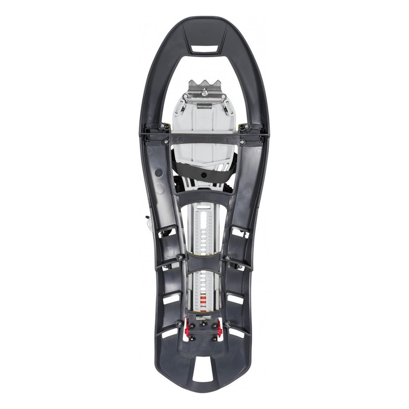 Pinter Special Snowshoes Gray Size 34-48 Trekking 1.75kg - 2