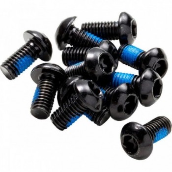 Set of Reverse Disc Rotor Bolts - 12 Black S10B21 Steel Class 10.9 Pieces - 1