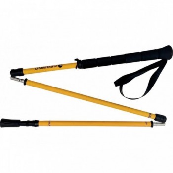 Bastones Zion 3 secciones plegables 110 cm para trekking - 1