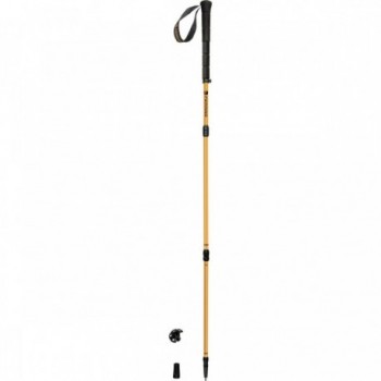 Bastones Zion 3 secciones plegables 110 cm para trekking - 2