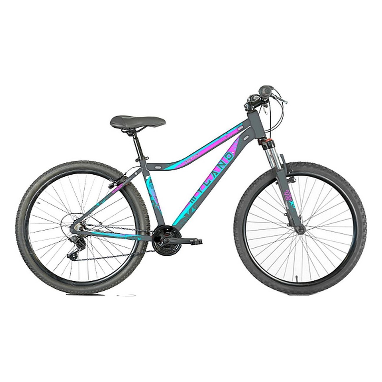 Bicicletta Active 26 Kid L Grigia - Ruote 26', Cambio Shimano 6V, Freni V-Brake - 1 - Mountain bike - 8059796060493