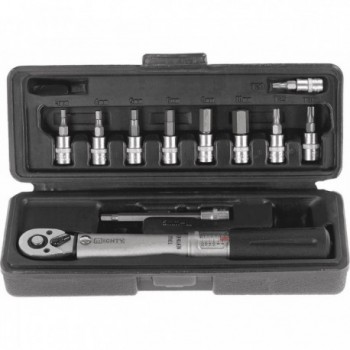 Mighty 1/4 Torque Wrench 2-24 Nm with Hex and Torx Inserts - 2