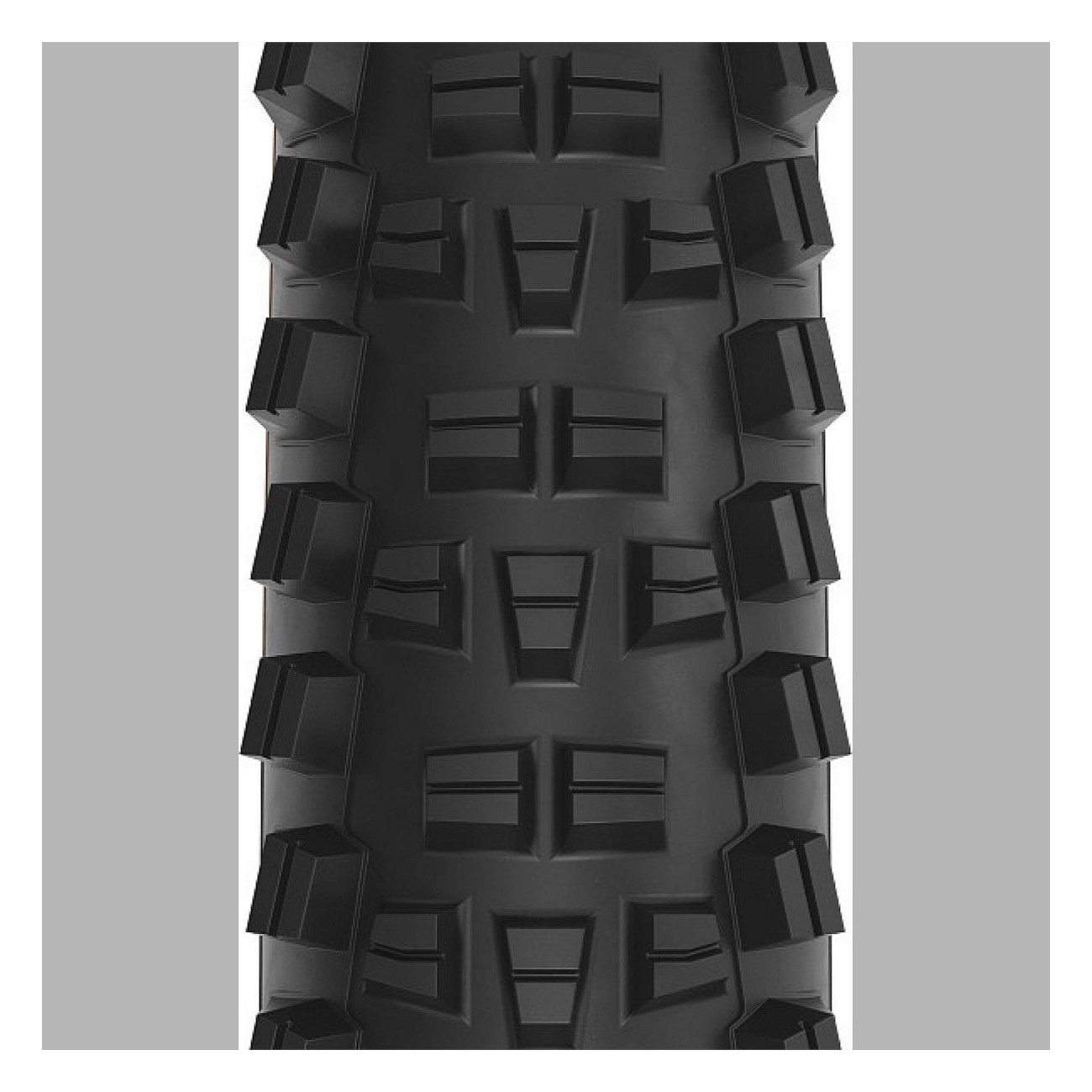 Trail Boss Tire 29' x 2.25 for Trail and Enduro, 60 TPI, TriTec SG2, TCS Light FR, Black - 3