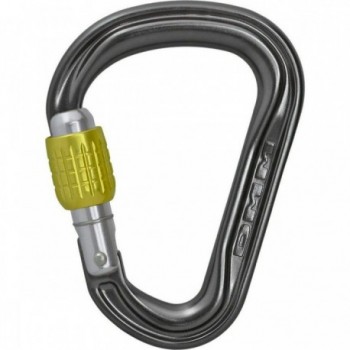 Titanium Carabiner with Screw Lock, Titanium Color, 56g - Ideal for Climbing - 1