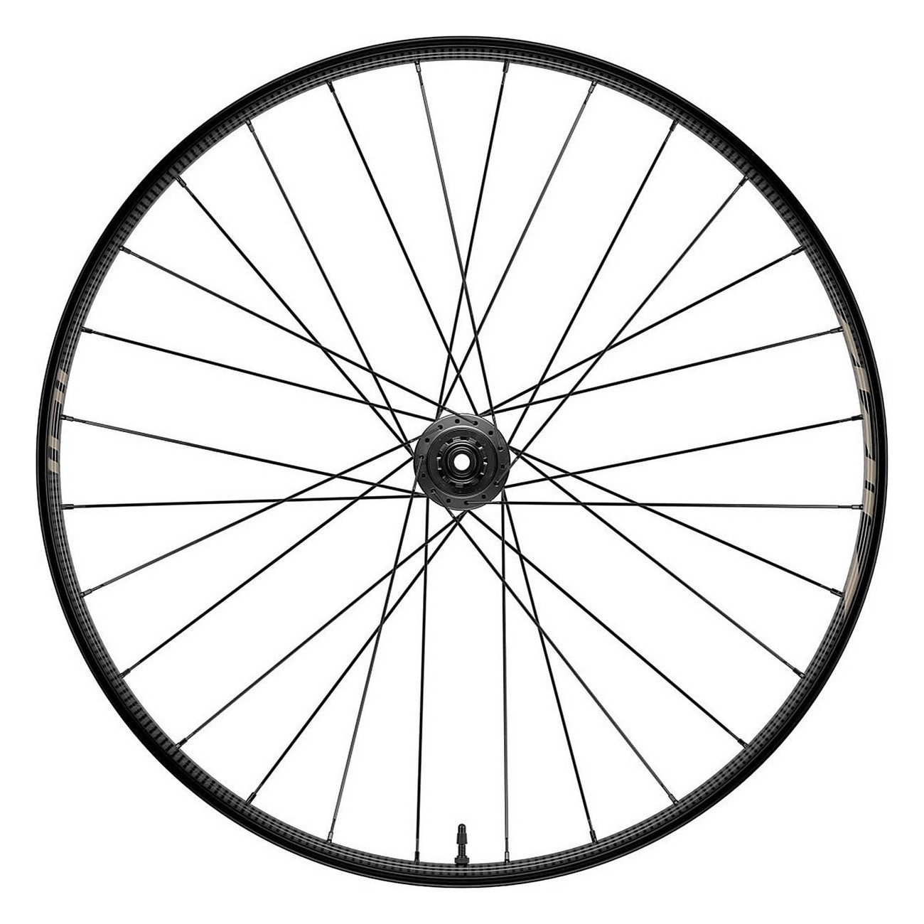 Hinterrad Tubeless Zipp 101 XPLR 650b mit SRAM XDR Nabe - Farbe Kwiqsand - 1