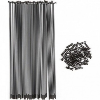 Stainless Steel Spokes 186 mm with Thickness - Pack of 40 with Black Nipples - 1