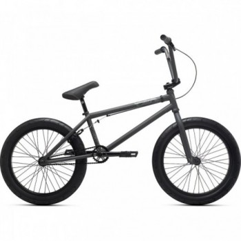 Bicyclette Verte Vex XL 20 Graphite Mat avec Cadre en Chrome 21'' - 2