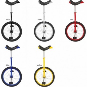 20' Black Matte Unicycle with Aluminum Rims and Adjustable Seat up to 120 kg - 2