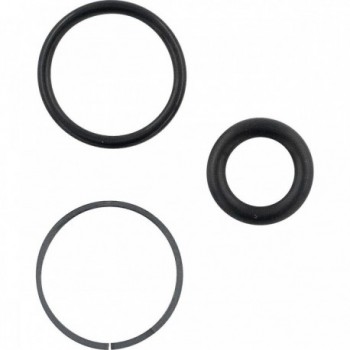 200-Hour/1-Year Maintenance Kit for Gold and Silver Seals and Rings - 6