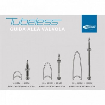 Schwalbe 40mm Tubeless Presta Valve Kit - 2 Pieces for Various Rim Heights - 2