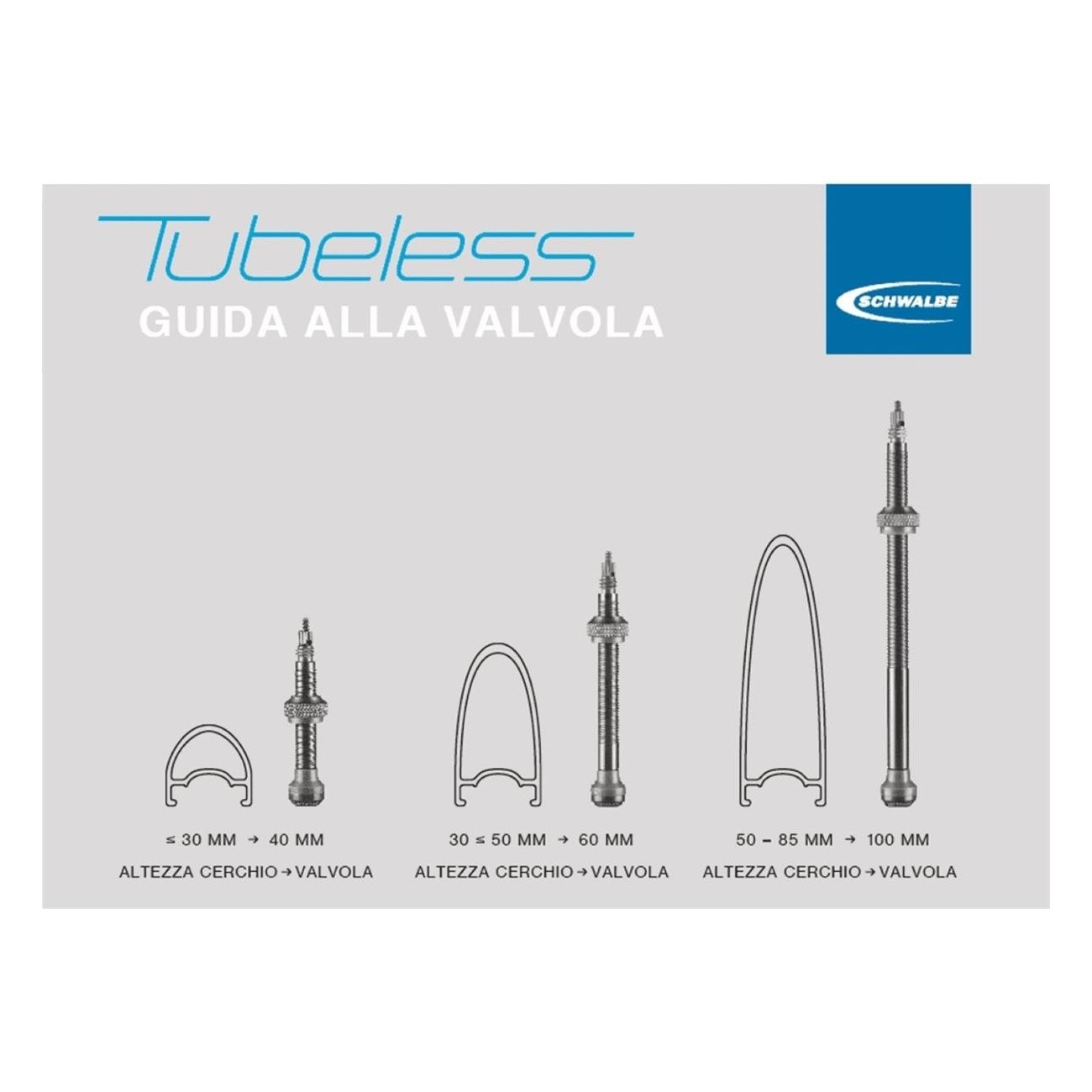 Schwalbe 40mm Tubeless Presta Valve Kit - 2 Pieces for Various Rim Heights - 2