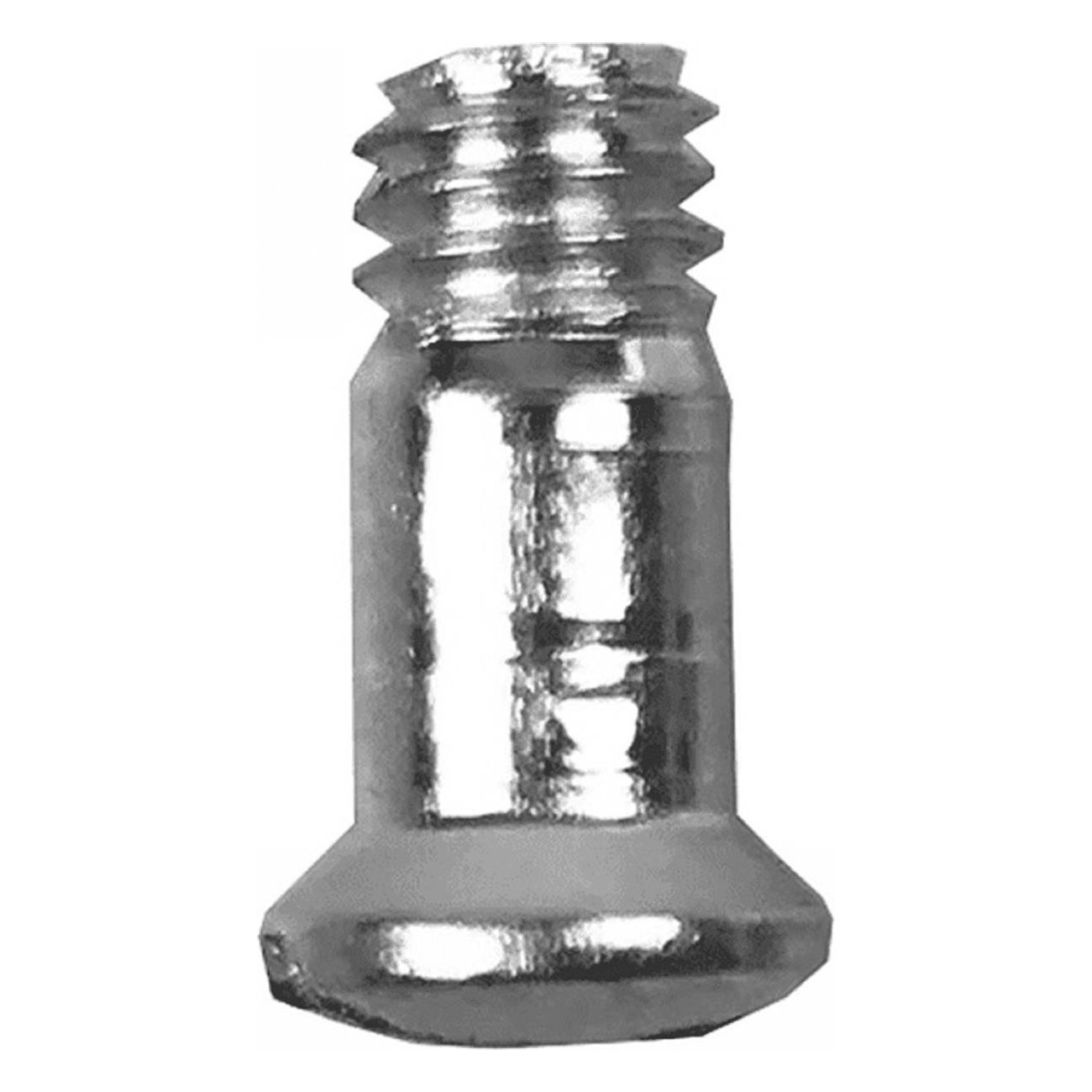 3.8mm Hinge Screws - Minuteria Erre, Secure and Reliable Fastening - 1